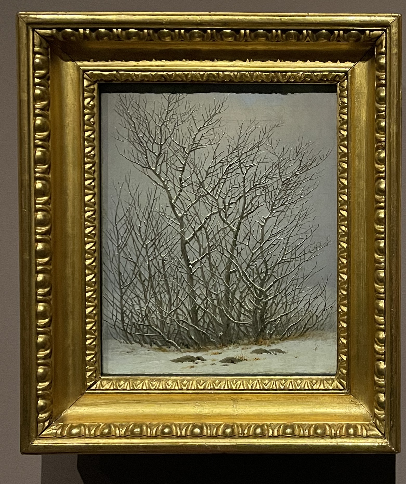 A group of bushes on a clearing, all covered in snow, bleak grey sky.